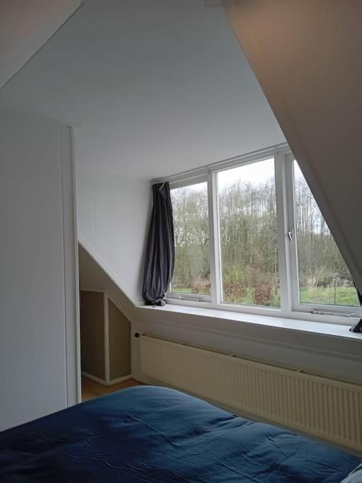 Ruim Huisje Op Een Prachtige Plek Hemrik Exterior photo
