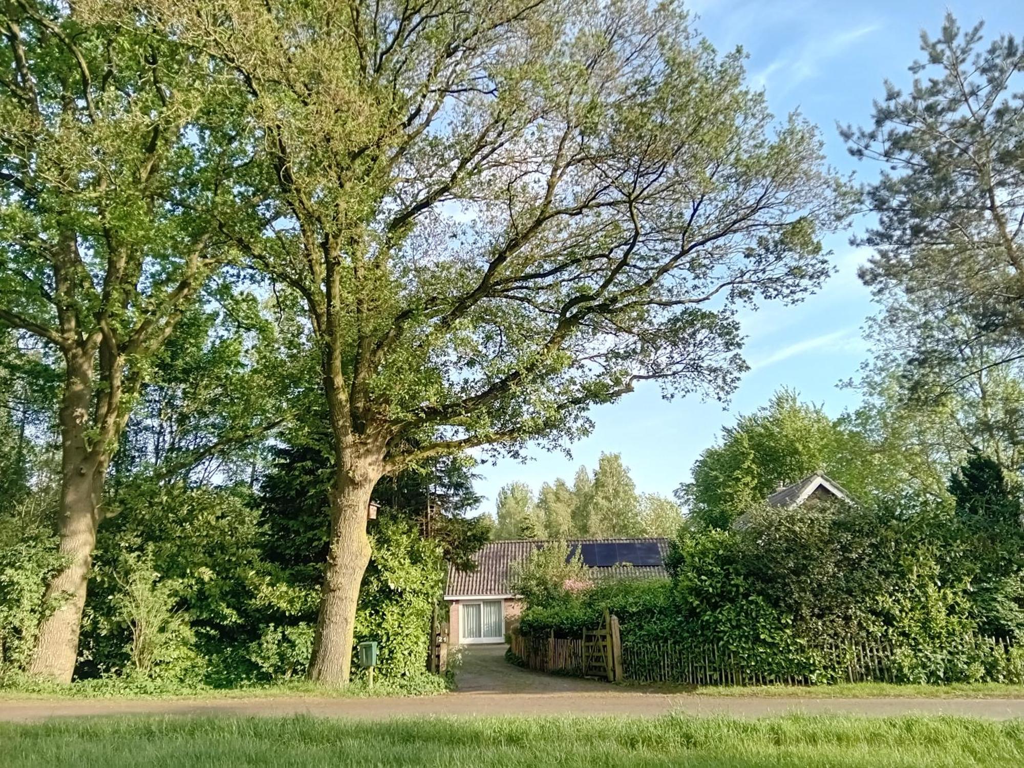 Ruim Huisje Op Een Prachtige Plek Hemrik Exterior photo